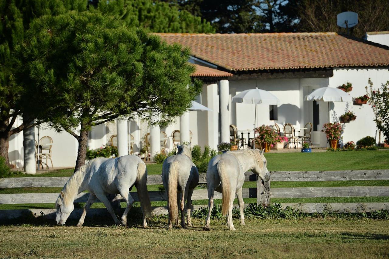Hôtel Mas de la Grenouillère Saintes-Maries-de-la-Mer Esterno foto