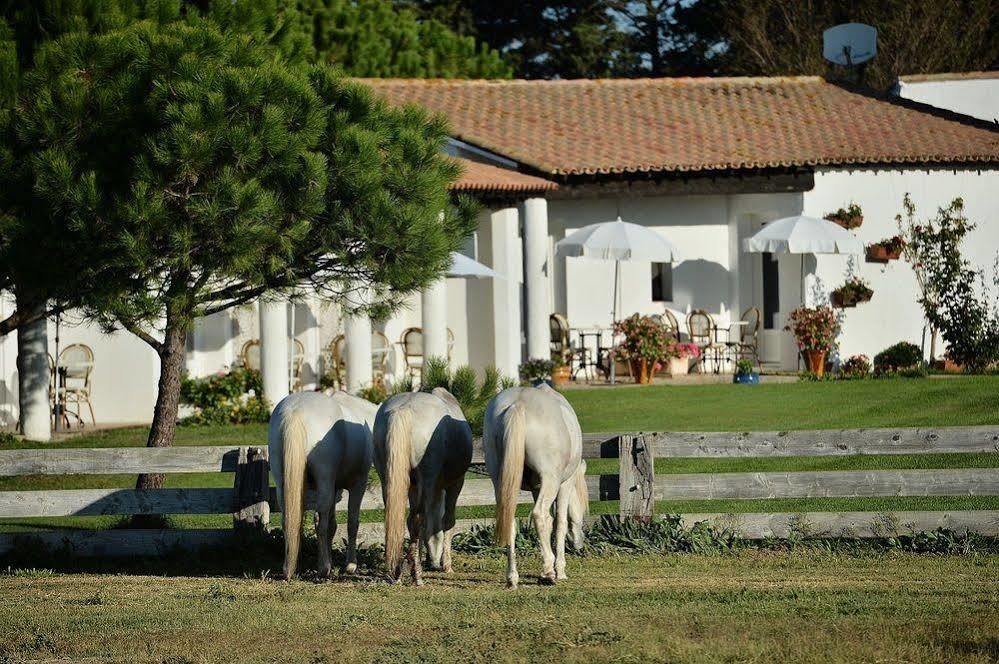 Hôtel Mas de la Grenouillère Saintes-Maries-de-la-Mer Esterno foto